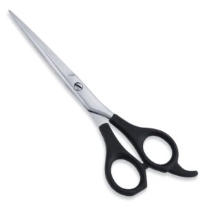 Budget Blade Economy Hair Scissor