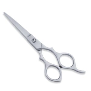 Professional Economy Hair Scissor